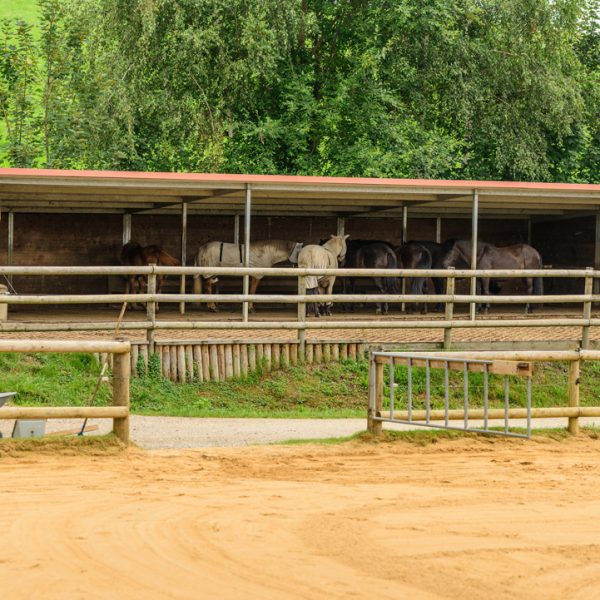 Pferdestall Bayern Oedhof