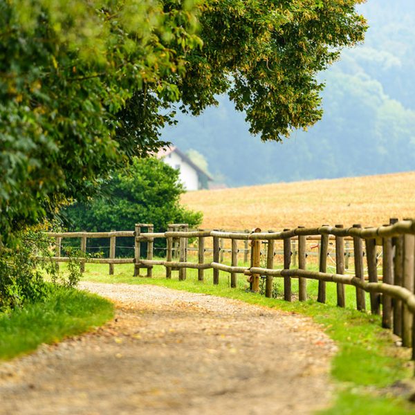 Landschaft Pferdehof Bayern Oedhof