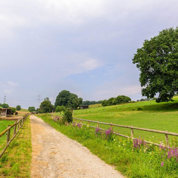 Landschaft Pferdehof Bayern Oedhof