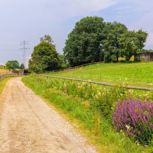 Landschaft Pferdehof Bayern Oedhof