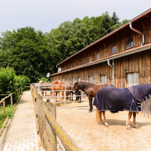 Pferdestall Bayern Oedhof