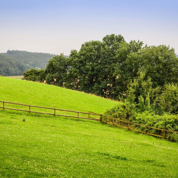 Natur Pferdehof Bayern Oedhof