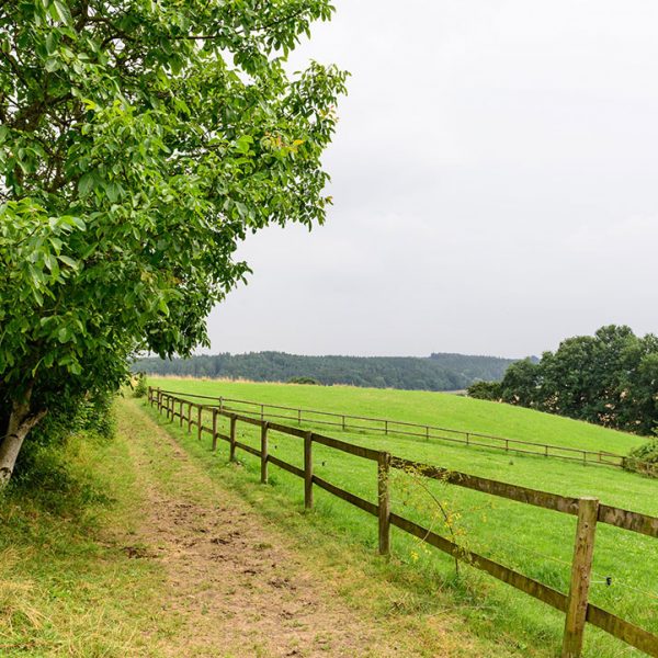 Natur Pferdehof Bayern Oedhof