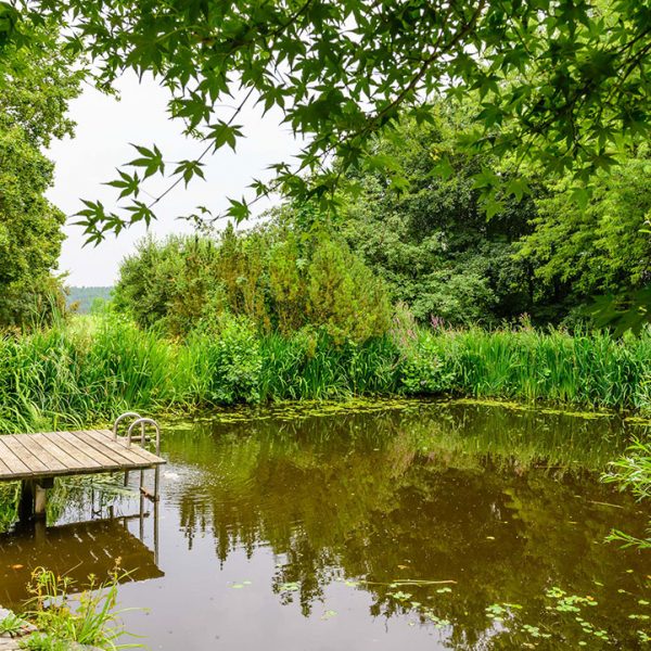 Garten im Pferdehof Bayern Oedhof