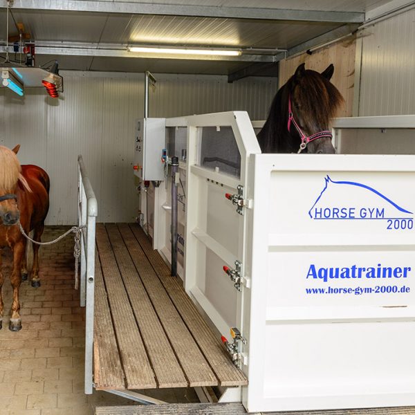 Aqua-Trainer Pferde Bayern