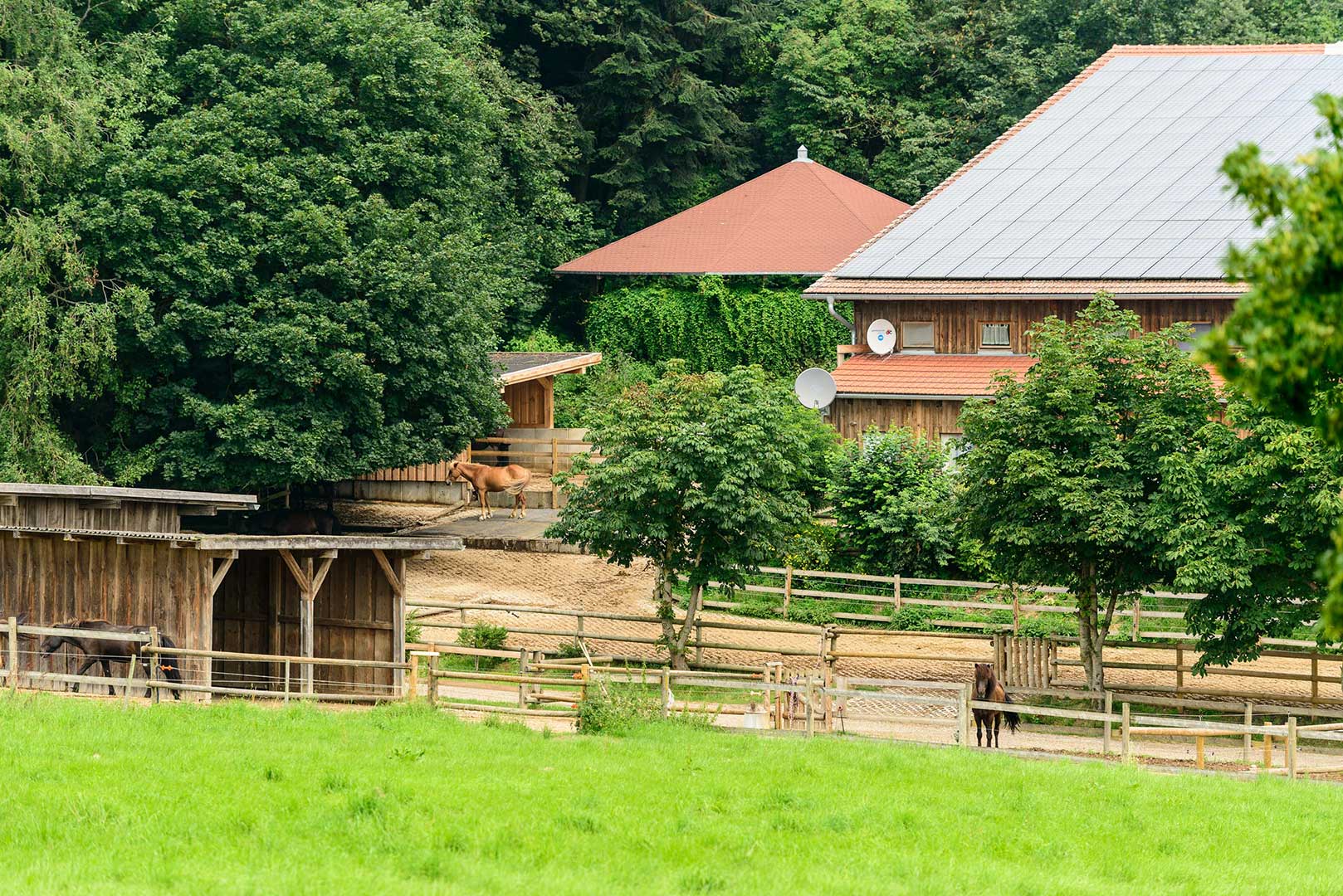 Pferdehof in Bayern Oedhof